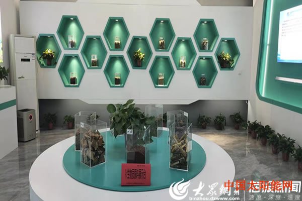 太阳能板原理结构学习强国平台重磅推介生物质清洁取暖“阳信模式”