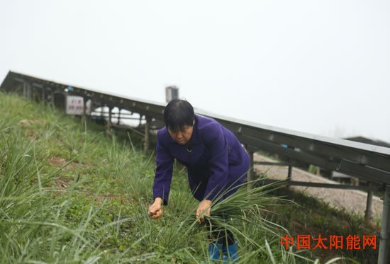 风力太阳能路灯解码国网“绿电”扶贫：118座光伏电站 驱动山区小康之路