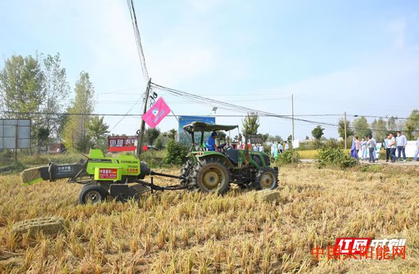 小太阳“捆”收秸秆生态发电 新能源湘企助力守护大别山下的绿水青山