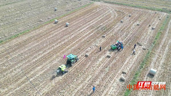 小太阳“捆”收秸秆生态发电 新能源湘企助力守护大别山下的绿水青山