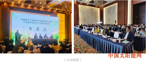 家庭太阳能发电热烈祝贺中国林产工业协会生物质能源与材料专业委会员成立大会圆满举行