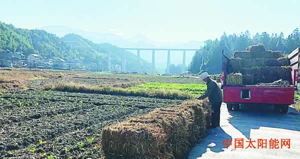 太阳帽龙泉查田：乡村秸秆发电变废为宝